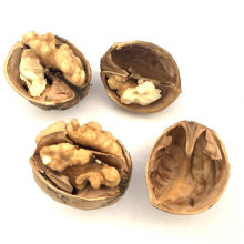 Factory Supply Natural Kernels Dried Raw Bulk Walnuts In Shell